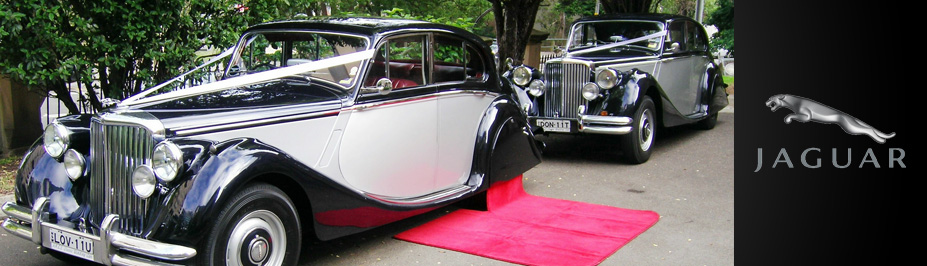 Jaguar Wedding Cars Sydney